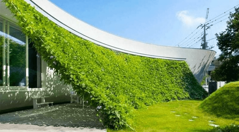 Trồng nhiều cây trước nhà để chống nóng cho nhà hướng Tây